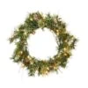 Vickerman Pre-Lit Artificial Christmas Wreath (06342) -Vickerman 06342alg