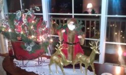 Vickerman Christmas Giant Ornament (2 Pack) (29018) -Vickerman 103672md