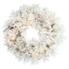 Vickerman Pre-Lit Artificial Christmas Wreath (12049) 2 Vickerman Pre-Lit Artificial Christmas Wreath (12049) -Vickerman 12049lg