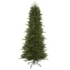 Vickerman Pre-Lit Artificial Christmas Tree (19243) 1 Vickerman Pre-Lit Artificial Christmas Tree (19243) -Vickerman 19243lg