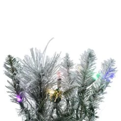 Vickerman Artificial Pre-Lit Garland (720943) 9 Vickerman Artificial Pre-Lit Garland (720943) -Vickerman 20943closermd