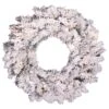 Vickerman Pre-Lit Artificial Christmas Wreath (20989) -Vickerman 20989lg