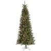 Vickerman Pre-Lit Christmas Tree (includes Step On/Off Foot Switch) (21869) 2 Vickerman Pre-Lit Christmas Tree (includes Step On/Off Foot Switch) (21869) -Vickerman 21869lg