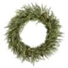 Vickerman Pre-Lit Artificial Christmas Wreath (27468)
