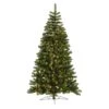 Vickerman Pre-Lit Artificial Christmas Tree (Includes On/Off Foot Switch) (27557) -Vickerman 27557lg
