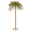 Vickerman Lighted Artificial Palm Tree (30223)