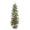 Vickerman Unlit Artificial Christmas Tree (317501) 1 Vickerman Unlit Artificial Christmas Tree (317501) -Vickerman 317501lg