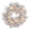 Vickerman Prelit Artificial Christmas Wreath (383919) 2 Vickerman Prelit Artificial Christmas Wreath (383919) -Vickerman 383919lg