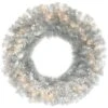 Vickerman Prelit Artificial Christmas Wreath (492758)
