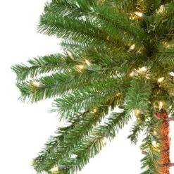 Vickerman Lighted Artificial Palm Tree (517383) -Vickerman 517383addmd