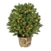 Vickerman Prelit Artificial Christmas Bush (627679) 1 Vickerman Prelit Artificial Christmas Bush (627679) -Vickerman 627679lg