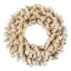 Vickerman Artificial Unlit Christmas Wreath (629178) -Vickerman 629147lg