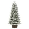Vickerman Artificial Christmas Tree (657645) 1 Vickerman Artificial Christmas Tree (657645) -Vickerman 657645lg