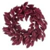 Vickerman Artificial Unlit Wreath (703885)