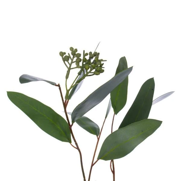 Vickerman Artificial Unlit Wreath (724057) 5 Vickerman Artificial Unlit Wreath (724057) - Image 3