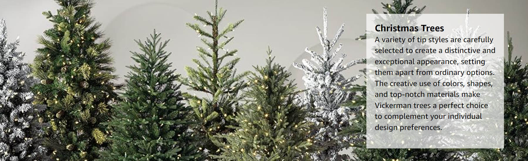 Vickerman -Vickerman FGH