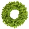 Vickerman Pre-Lit Artificial Christmas Wreath (28456) 2 Vickerman Pre-Lit Artificial Christmas Wreath (28456) -Vickerman Flocked20Lime20Wreathlg