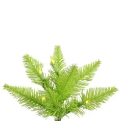 Vickerman Pre-Lit Christmas Tree (Includes On/Off Foot Switch) (28255) 7 Vickerman Pre-Lit Christmas Tree (Includes On/Off Foot Switch) (28255) -Vickerman Lime20Fir20Branchmd