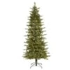 Vickerman Pre-Lit Artificial Christmas Tree (29516) 2 Vickerman Pre-Lit Artificial Christmas Tree (29516) -Vickerman Slim20Regal20Frasierlg